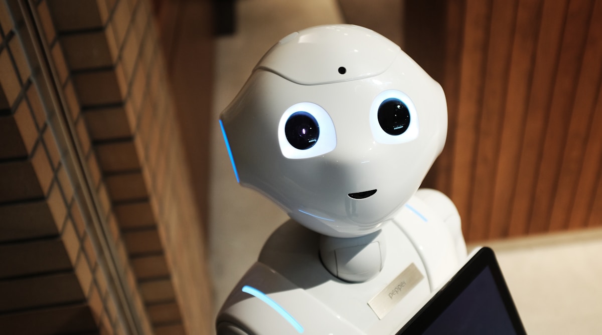 Mid-Range Humanoid Robots £5,000–£10,000: Best Value in the UK
