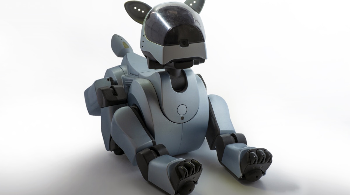 Petoi Bittle X V2 Review: Open-Source Programmable Robot Dog (~£250)